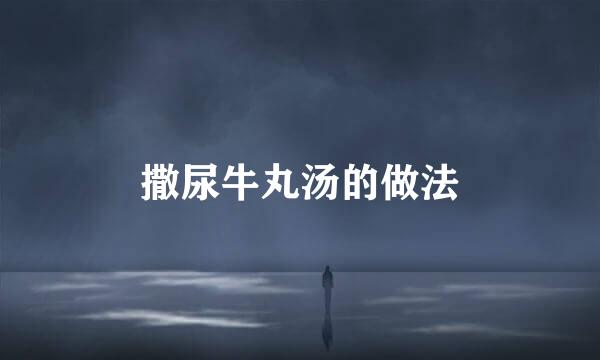 撒尿牛丸汤的做法