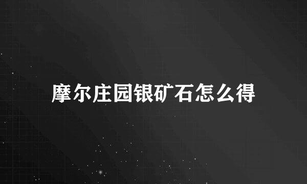 摩尔庄园银矿石怎么得