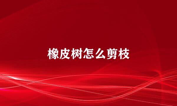 橡皮树怎么剪枝