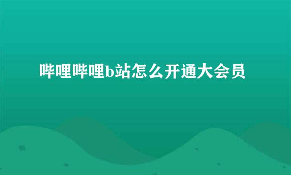 哔哩哔哩b站怎么开通大会员
