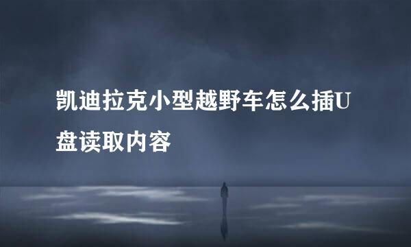 凯迪拉克小型越野车怎么插U盘读取内容