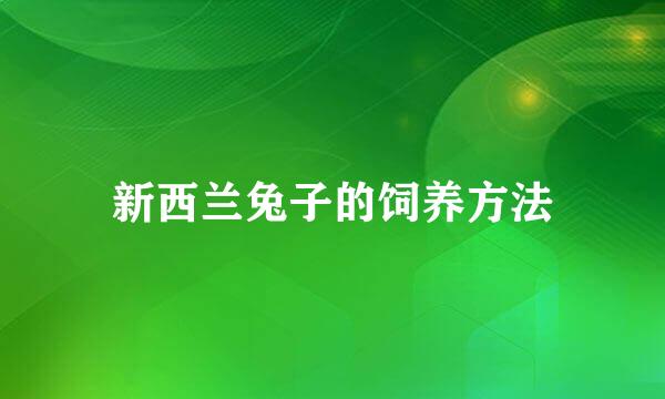 新西兰兔子的饲养方法