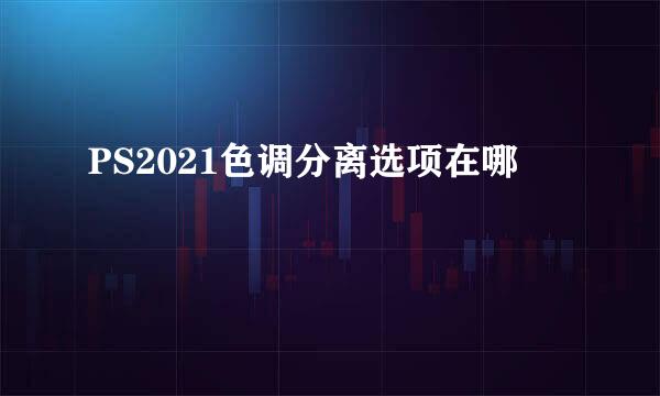 PS2021色调分离选项在哪