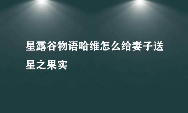 星露谷物语哈维怎么给妻子送星之果实