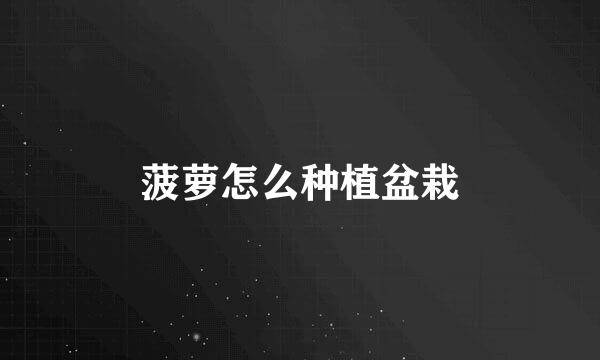菠萝怎么种植盆栽