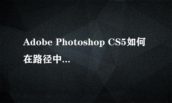 Adobe Photoshop CS5如何在路径中填充文字