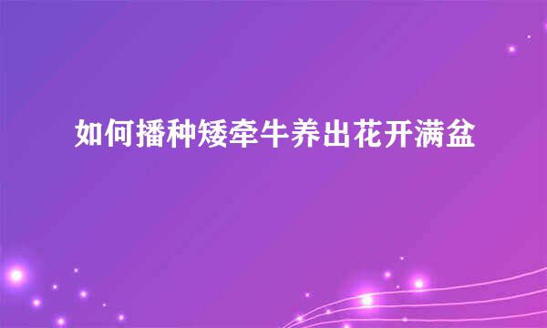 如何播种矮牵牛养出花开满盆