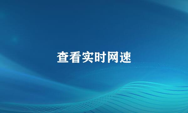 查看实时网速