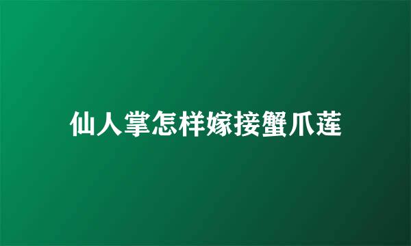 仙人掌怎样嫁接蟹爪莲