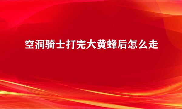 空洞骑士打完大黄蜂后怎么走