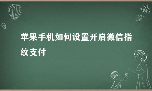 苹果手机如何设置开启微信指纹支付