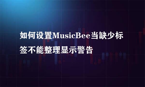 如何设置MusicBee当缺少标签不能整理显示警告