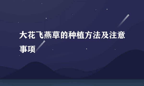 大花飞燕草的种植方法及注意事项