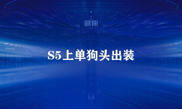 S5上单狗头出装