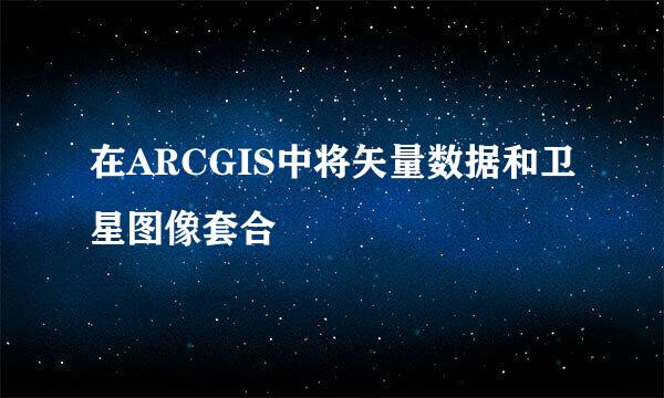 在ARCGIS中将矢量数据和卫星图像套合
