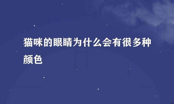 猫咪的眼睛为什么会有很多种颜色