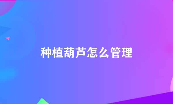 种植葫芦怎么管理