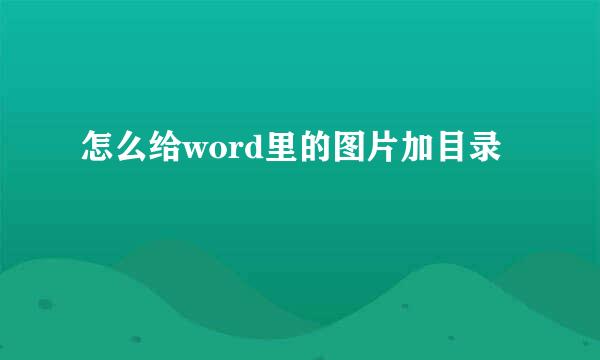 怎么给word里的图片加目录