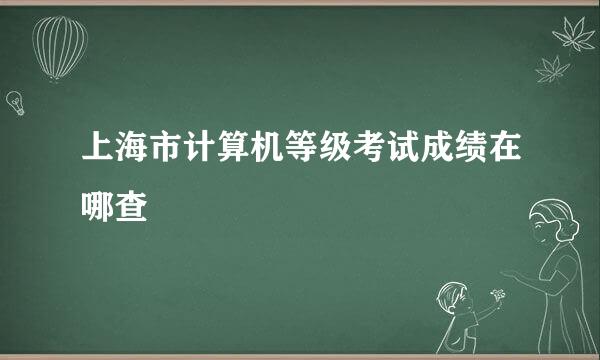 上海市计算机等级考试成绩在哪查