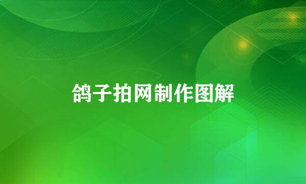 鸽子拍网制作图解