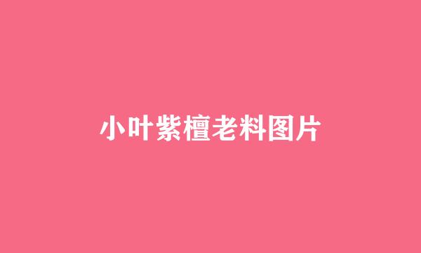 小叶紫檀老料图片