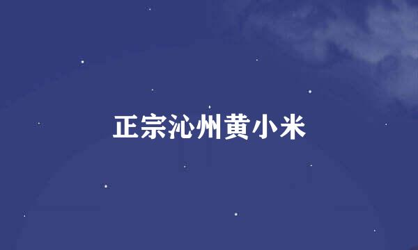 正宗沁州黄小米