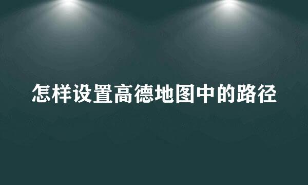 怎样设置高德地图中的路径