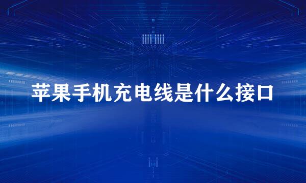 苹果手机充电线是什么接口