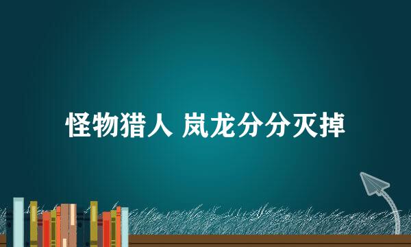 怪物猎人 岚龙分分灭掉