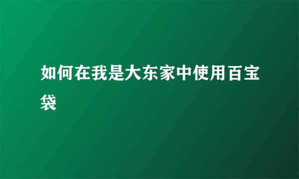 如何在我是大东家中使用百宝袋