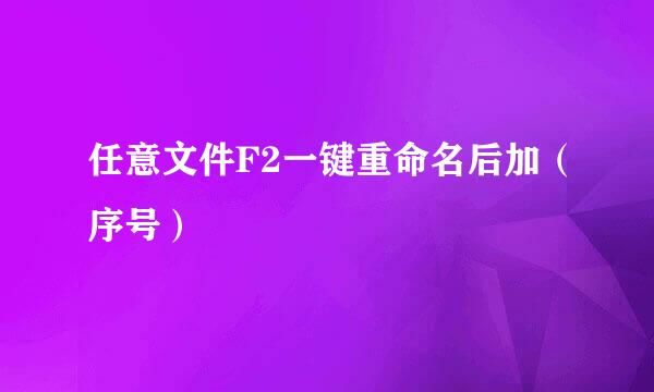 任意文件F2一键重命名后加(序号)