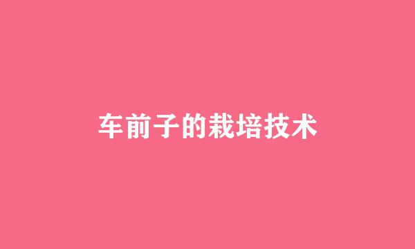 车前子的栽培技术