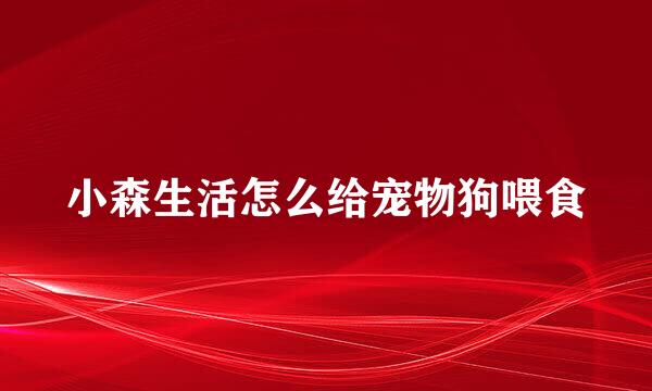 小森生活怎么给宠物狗喂食