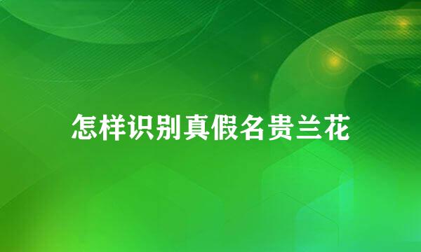 怎样识别真假名贵兰花