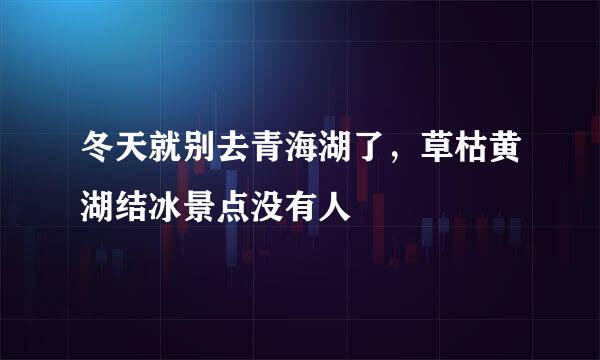 冬天就别去青海湖了，草枯黄湖结冰景点没有人