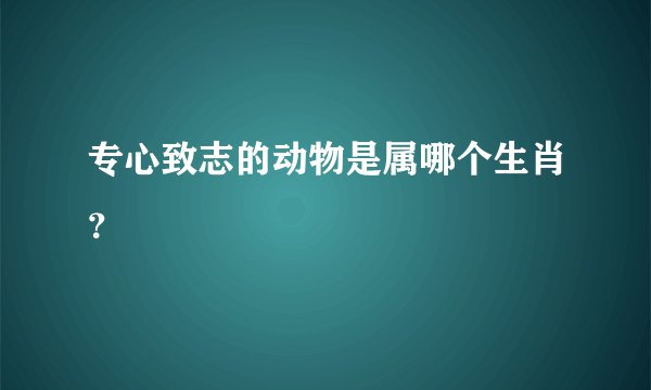 专心致志的动物是属哪个生肖？
