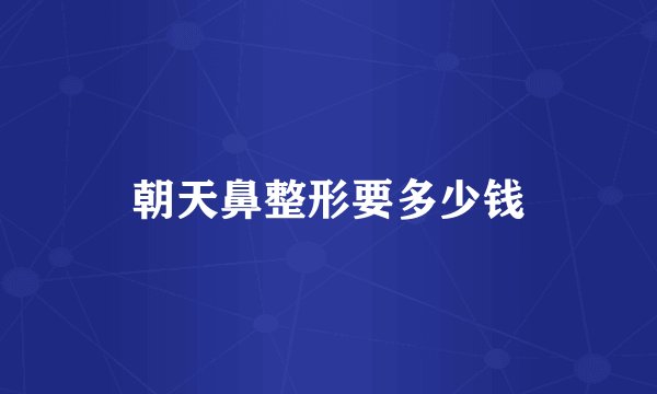 朝天鼻整形要多少钱