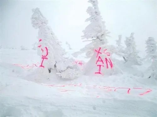 日本景点遭汉字涂鸦，我们应如何爱护旅游景点？