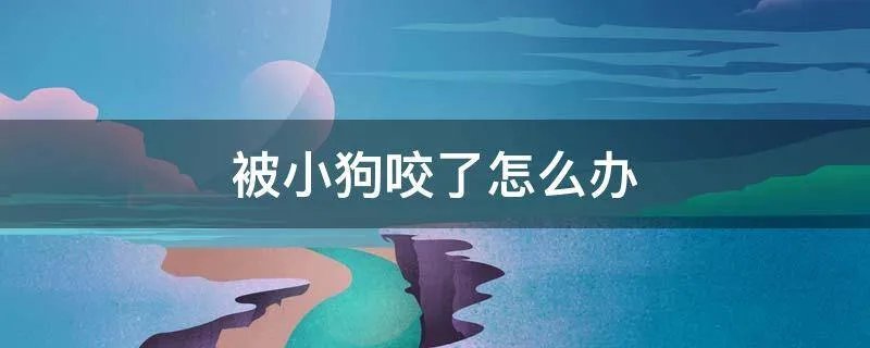 被小狗咬了怎么办