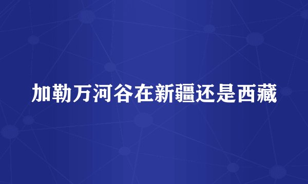 加勒万河谷在新疆还是西藏
