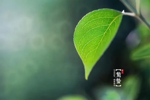 惊蛰是什么意思？