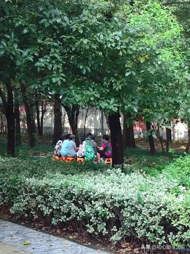 武汉新出现的疫情有多严峻，会影响学校开学吗？