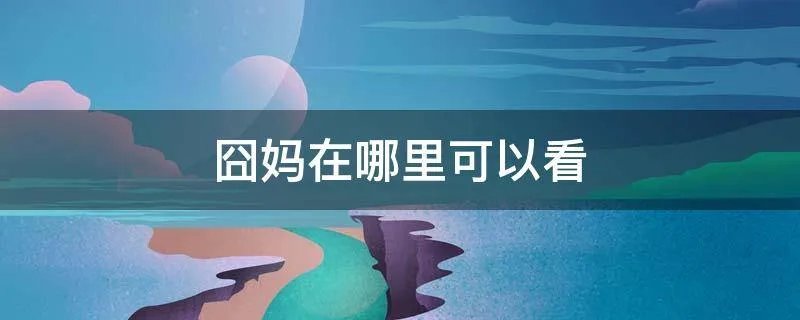 囧妈在哪里可以看