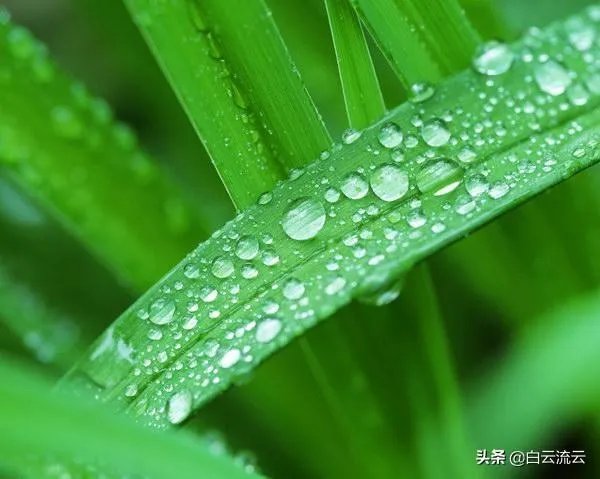 阴雨天如何拍出好照片？
