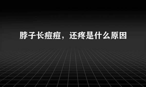 脖子长痘痘，还疼是什么原因