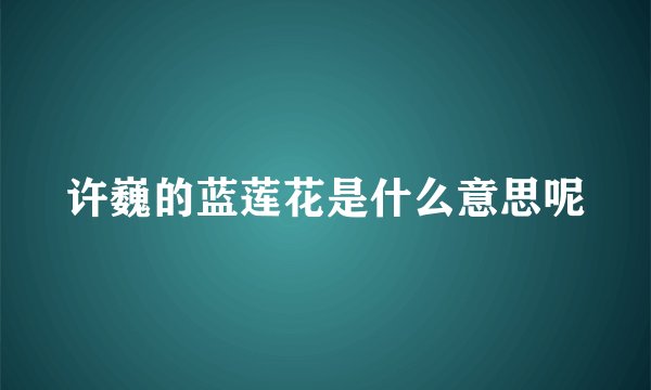 许巍的蓝莲花是什么意思呢