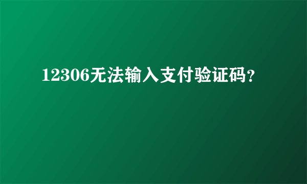 12306无法输入支付验证码？