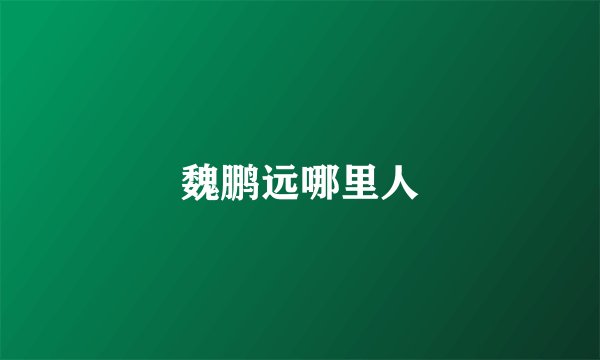 魏鹏远哪里人