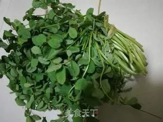 花草