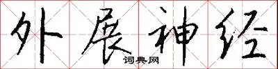 外展神经